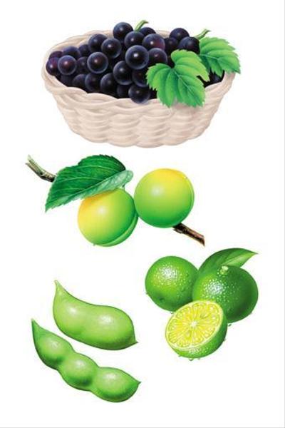 パッケジイラスト