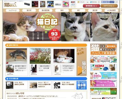 猫好きが集まるSNS[猫ぽた]　企画開発運営