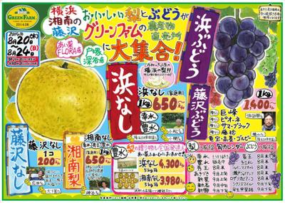 農産物直売店「あい菜ふぁーむ」の手描きチラシ