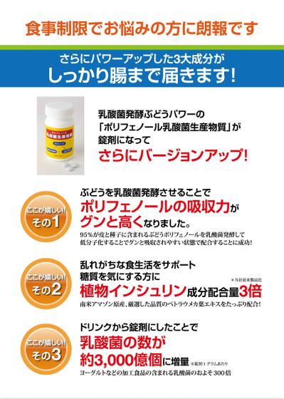 インターネット通販の健康食品パンフレット（A5サイズ8ページ）