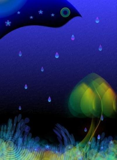 dreaming the night