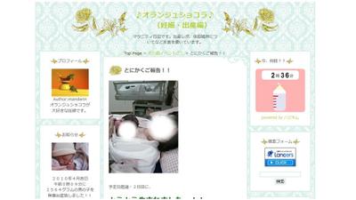 自身の書いた「妊娠～出産ブログ」