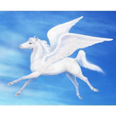 PEGASUS