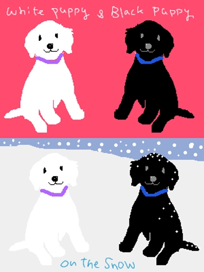 白と黒の仔犬