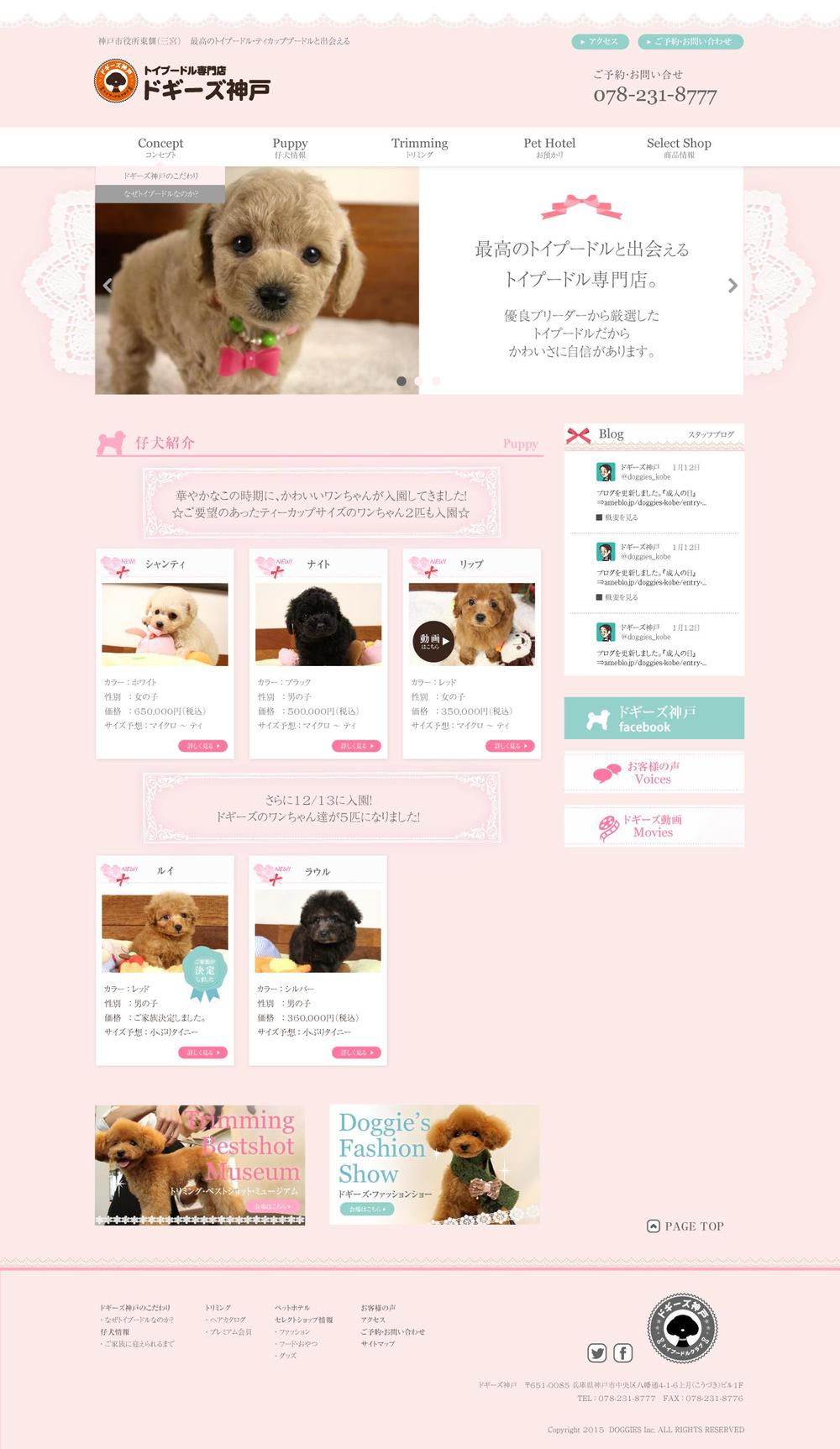 ペットショップ用サイト　トップページデザイン