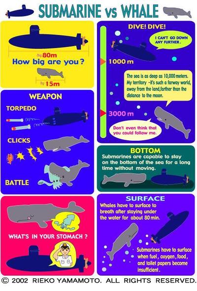 潜水艦vs抹香鯨