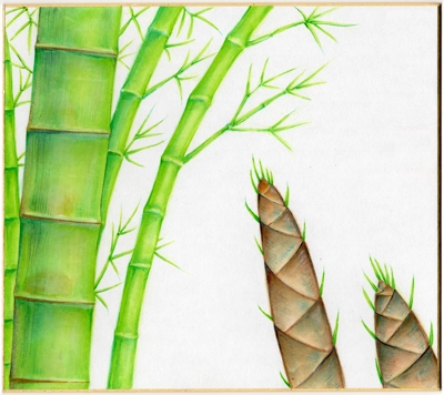 竹と竹の子