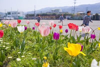 小学校の校庭のイメージ写真