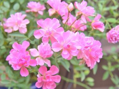 著作権がクライアントにあるので非公開