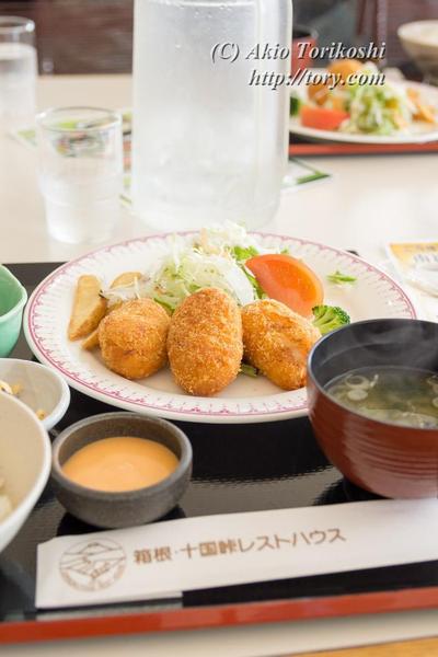 料理写真のサンプル