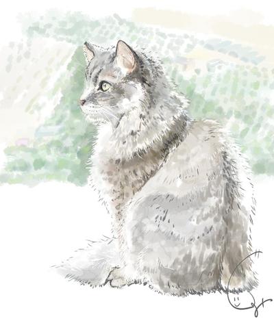 猫のイラスト２