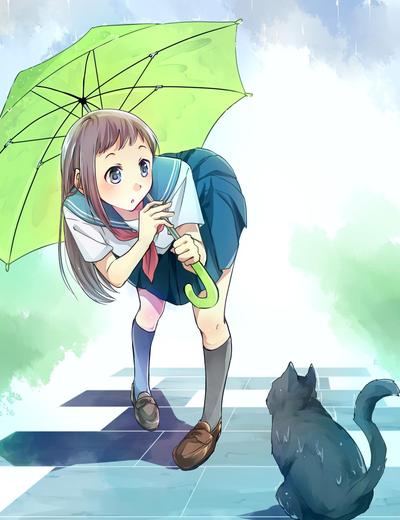 雨の日に猫と