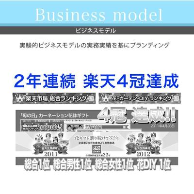 楽天「母の日」花ギフトで、４万店舗中【２連連続楽天４冠達成】2011-2012