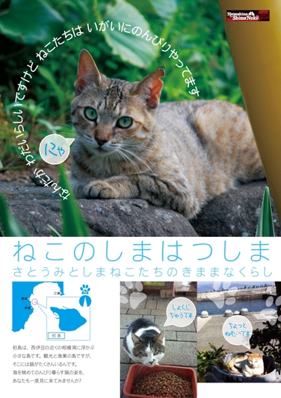 静岡県熱海市初島の地域猫「しまねこ」の保護活動に関するリーフレット