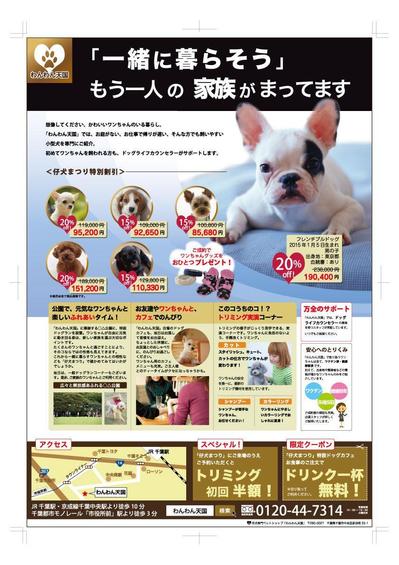 折り込みチラシ(裏)