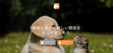 新しい動物コミュニケーションネットワーク Anicall WEBサイト