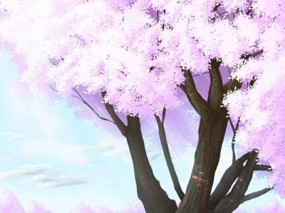 桜