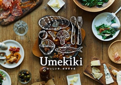 UmekikiのWebサイト企画・制作