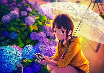 あじさい