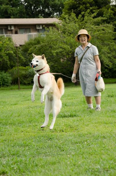 「ペット写真」