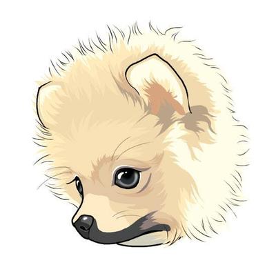 犬　似顔絵　ポメラニアン