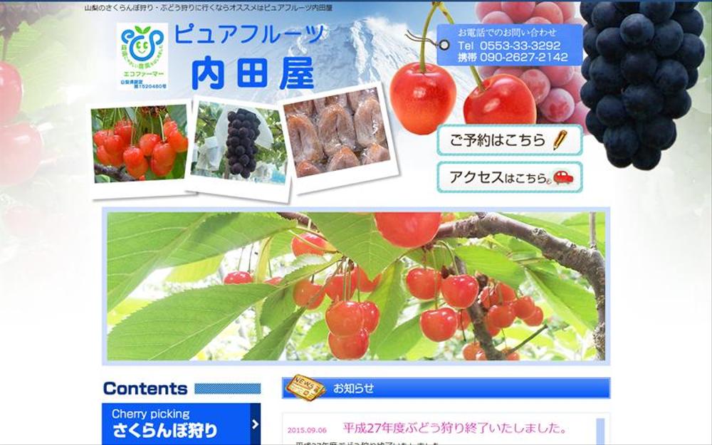 ピュアフルーツ内田屋様リニューアル