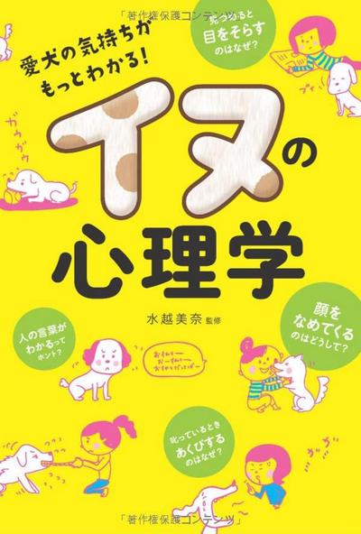 本の装丁、中面イラスト