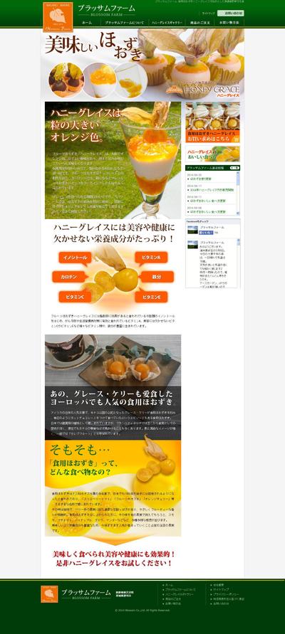 ECサイトWebザイン