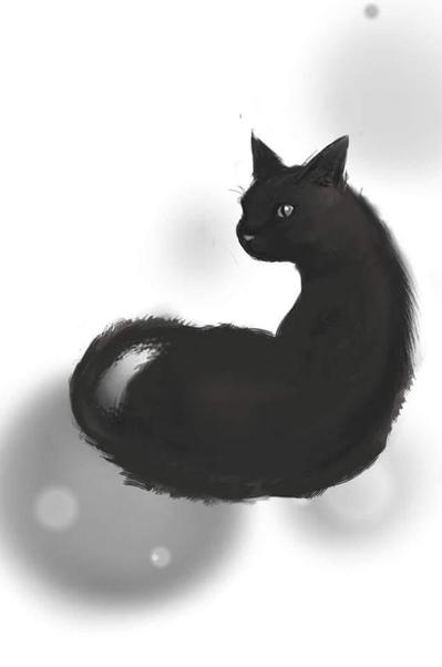 黒猫