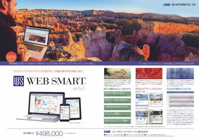 CMSパッケージ　雑誌広告