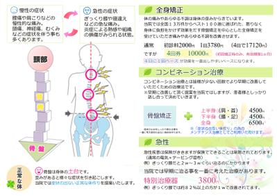 整骨院パンフレット