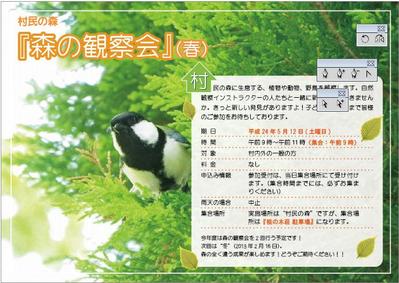 野鳥観察会
