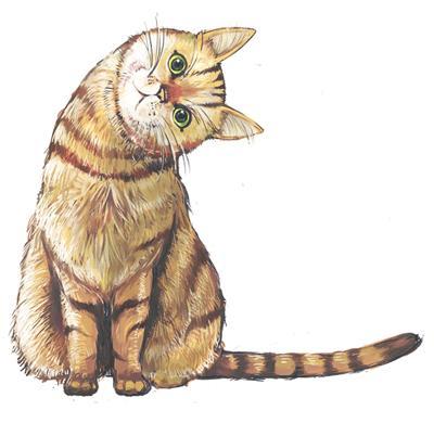 猫