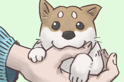 柴犬のイラスト