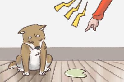 柴犬のイラスト