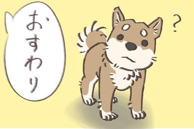 柴犬のイラスト