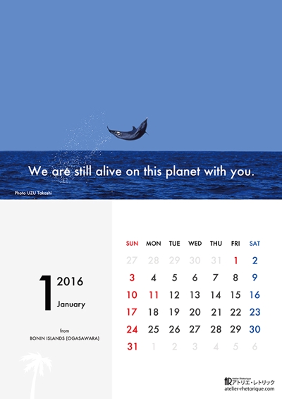 2016年宇津孝カレンダー（1月）