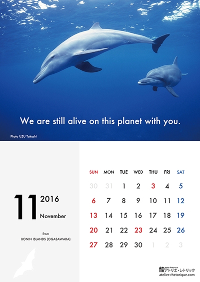 2016年宇津孝カレンダー（11月）