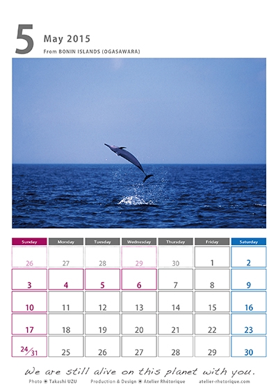 2015年宇津孝カレンダー（5月）