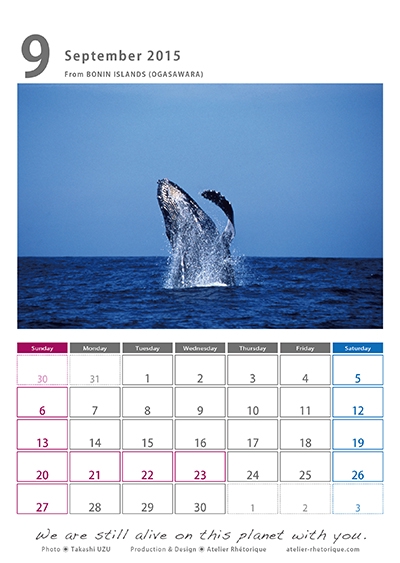 2015年宇津孝カレンダー（9月）
