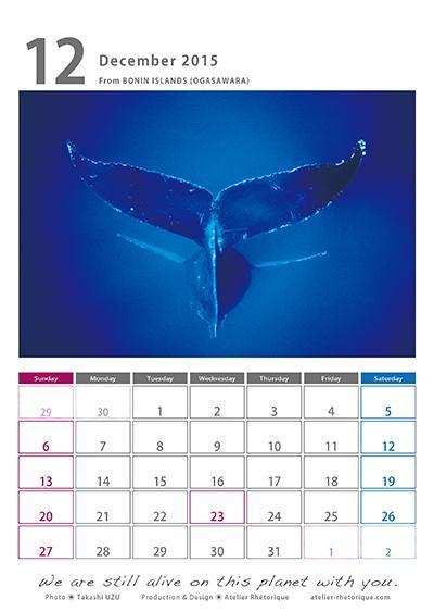 2015年宇津孝カレンダー（12月）