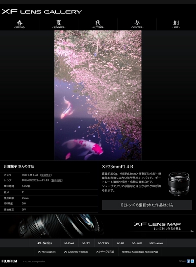 富士フイルム公式ホームページのレンズ23mm作例　池の鯉と桜