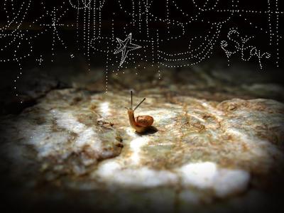 dream of the snail 