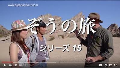 テレビ番組のコーディネーション