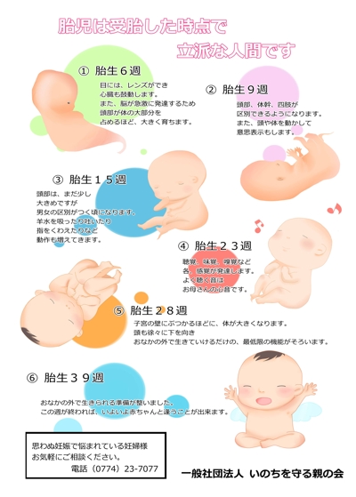 胎児の成長図