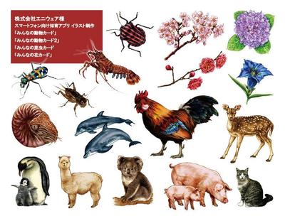 株式会社エニウェア様「みんなの動物カード」他　イラスト制作