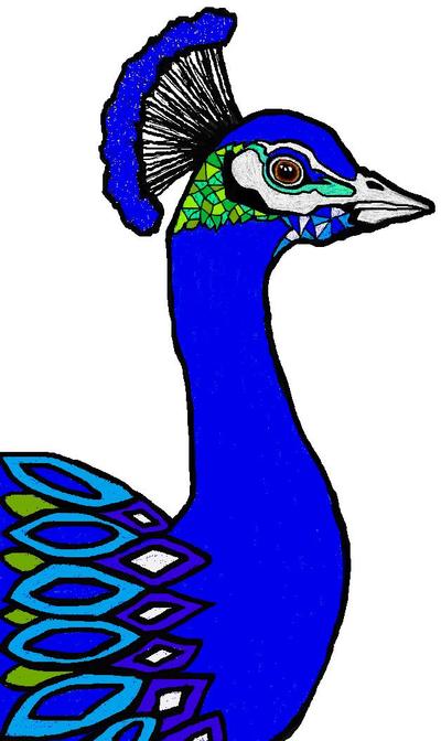 クジャク
