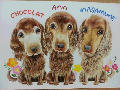 ペットの似顔絵