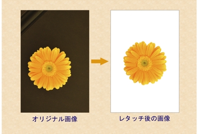 フォトレタッチの例（花）