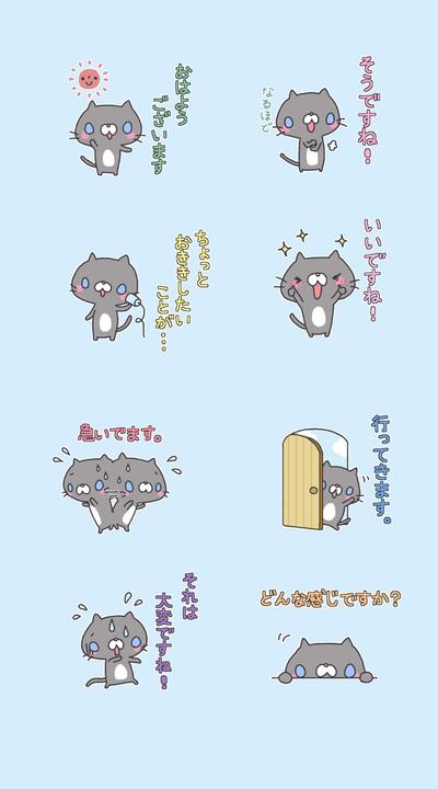 きちんとにゃんこ